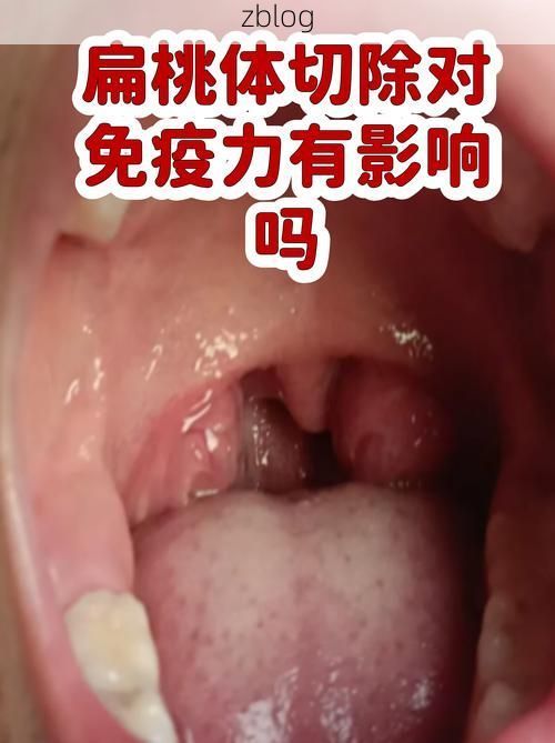 灵宝：豫西咽喉的零感染防线何以铸成？