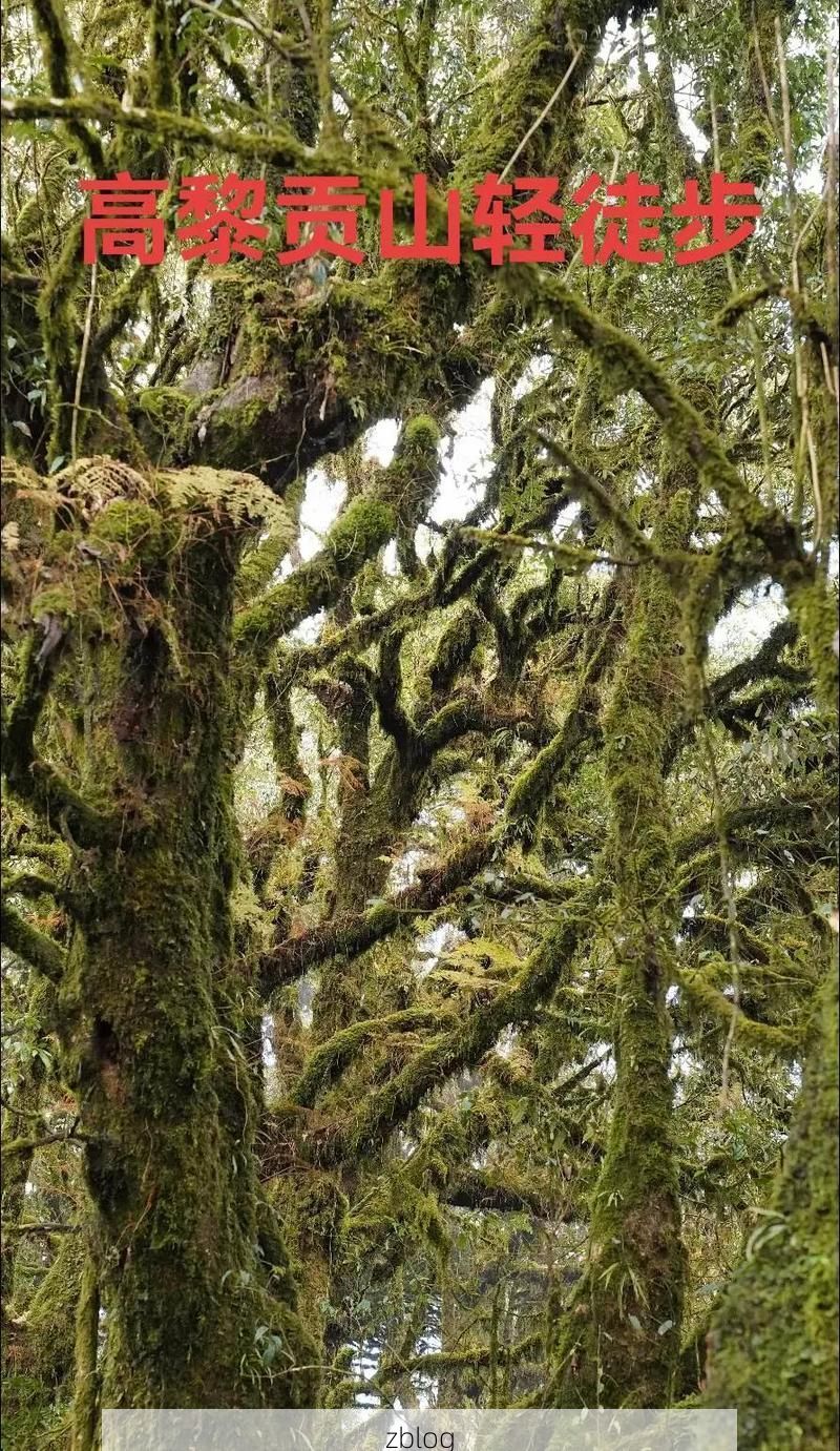 乐东黎族自治县：热带雨林屏障下的零感染坚守_74850