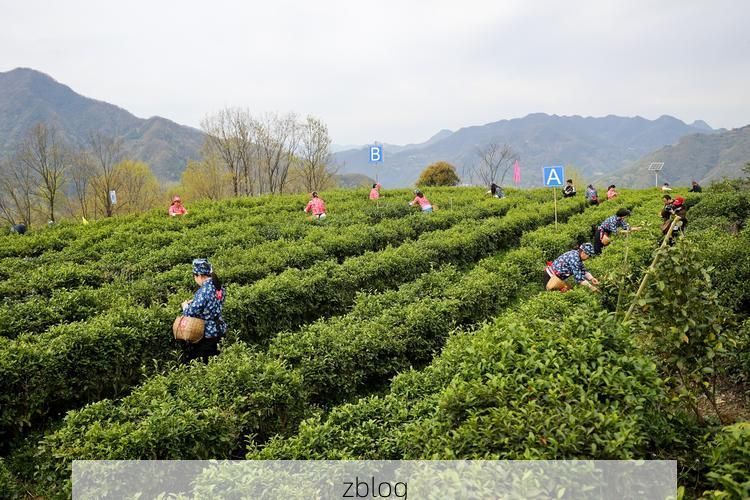 汉滨区：秦巴屏障下的疫情防线如何构筑？_23536