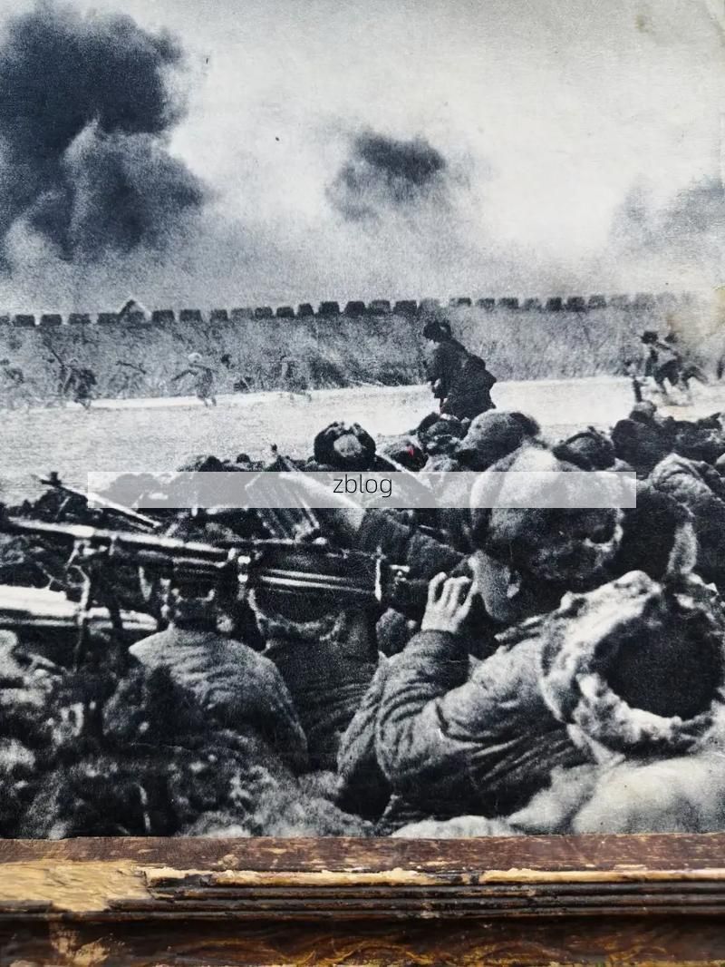 聊城：鲁西平原上的疫情阻击战