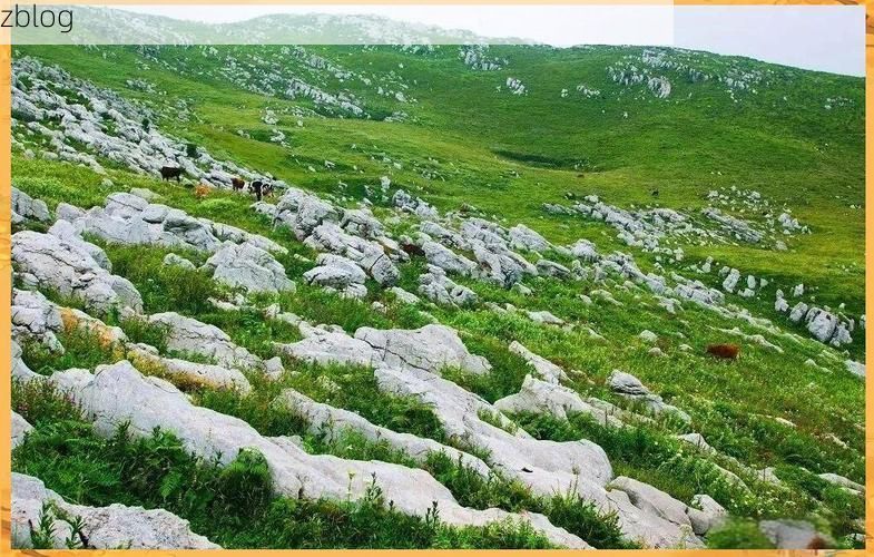 黔西县疫情观察：喀斯特地貌下的防控挑战