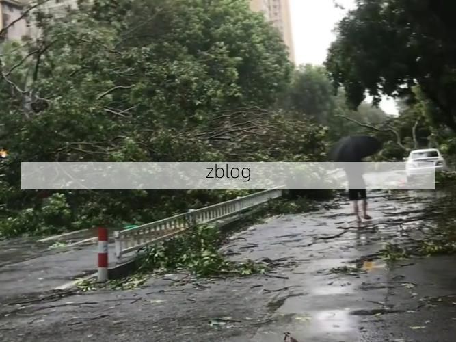 湛江：雷州半岛湿热季风下的疫情防线_60973