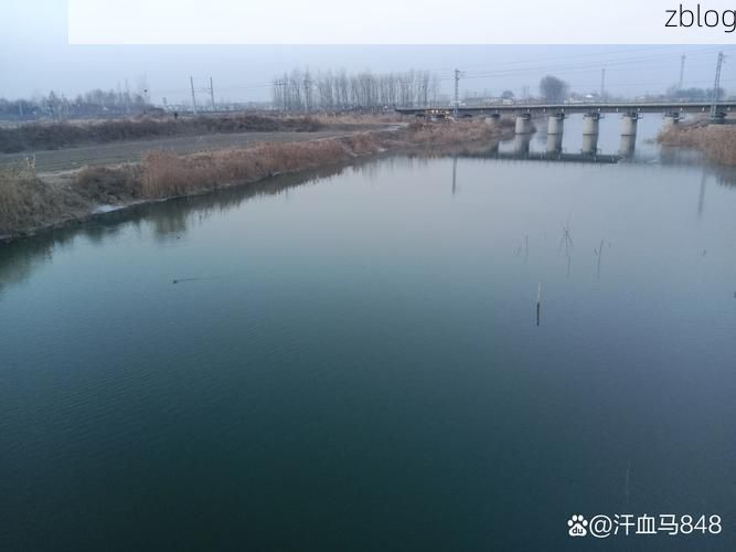 【临颍县：豫中平原腹地的疫情防波堤_59366】