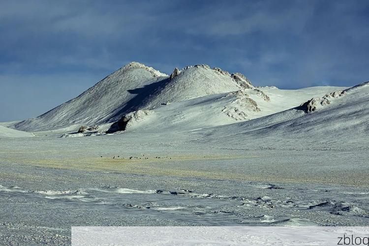 高原屏障下的零感染坚守：果洛藏族自治州的防疫地理学