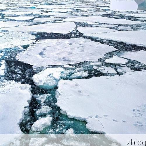 阿勒泰：高寒屏障下的零感染样本