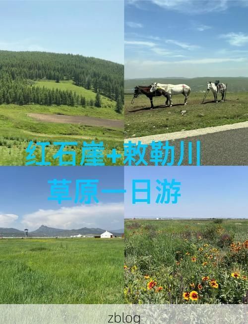 阿巴嘎旗：草原屏障与零感染记录的地理溯源