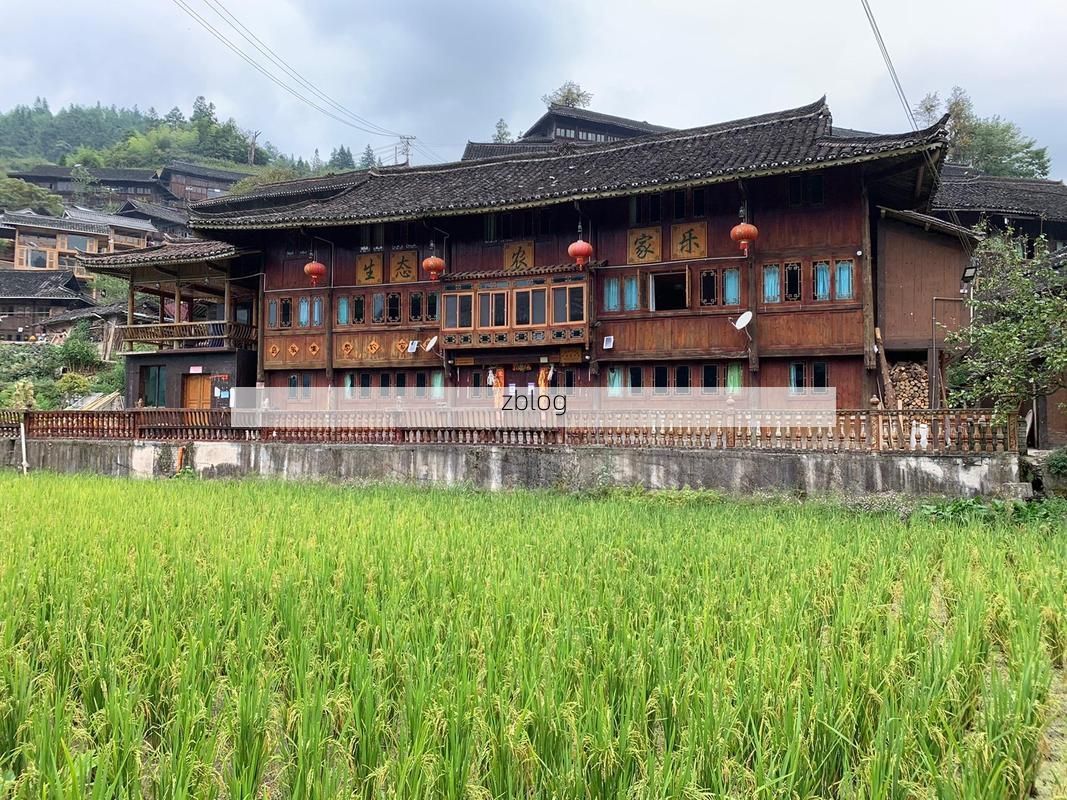 雷山屏障下的零感染坚守：黔东南密林如何隔绝病毒传播？