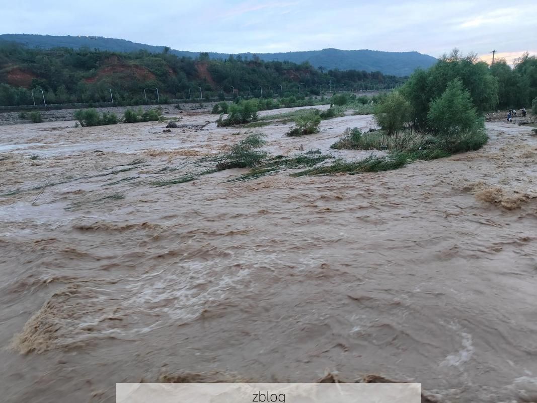 巨野县：鲁西南平原上的疫情防波堤_60013