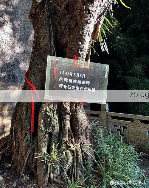 【陵川：太行山脊上的零感染样本与物理防线】