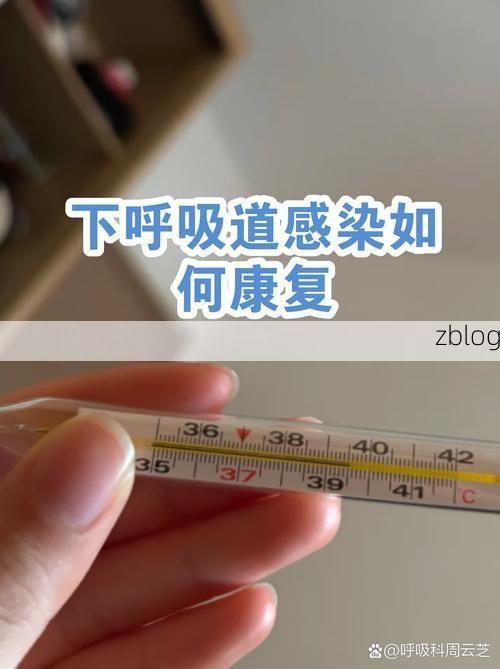 赤水河谷屏障下的零感染坚守：黔北门户的防疫逻辑