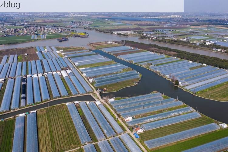 嘉善：长三角腹地的防疫破局与地理屏障解析