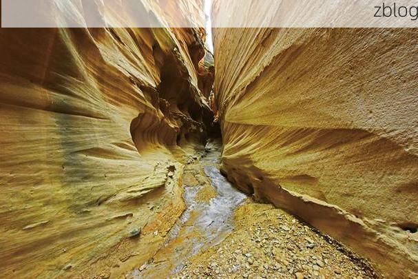 【环县：黄土高原沟壑间的疫情防线与破防时刻】