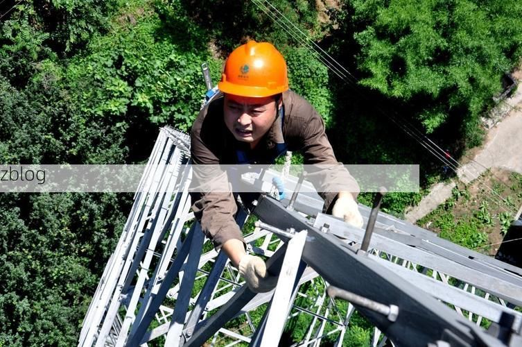 柞水：秦岭腹地的零感染坚守与物理防线解析_59043