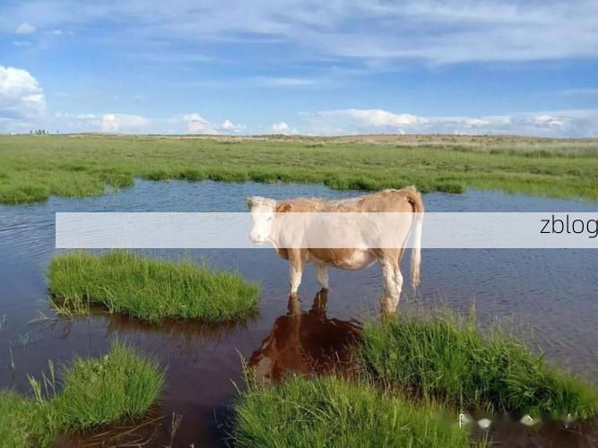 阿巴嘎旗新增1例无症状感染者  阿巴嘎旗疫情防控最新通报_45031