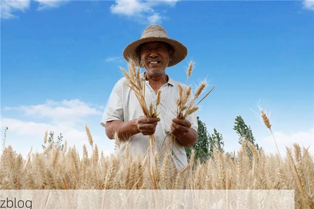 柘城：豫东平原交通枢纽下的防疫承压与破局