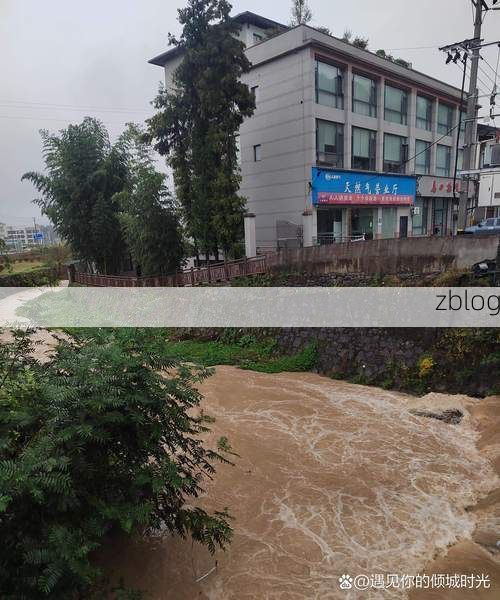 宝丰县：中原腹地交通枢纽的疫情防波堤