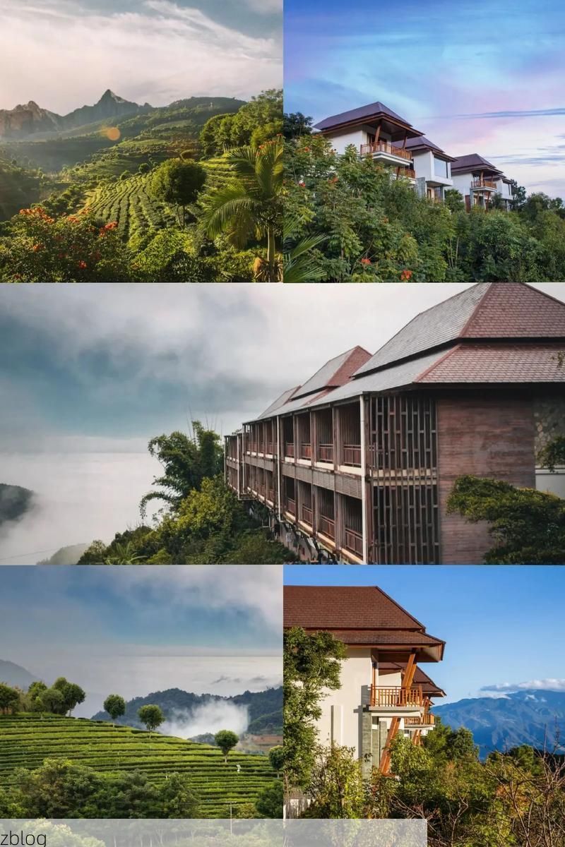 双江拉祜族佤族布朗族傣族自治县新增1例无症状感染者  双江拉祜族佤族布朗族傣族自治县疫情防控最新通报_60417