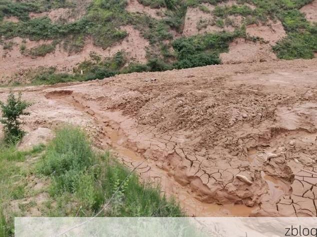 横山县：黄土高原沟壑间的疫情防波堤_42140
