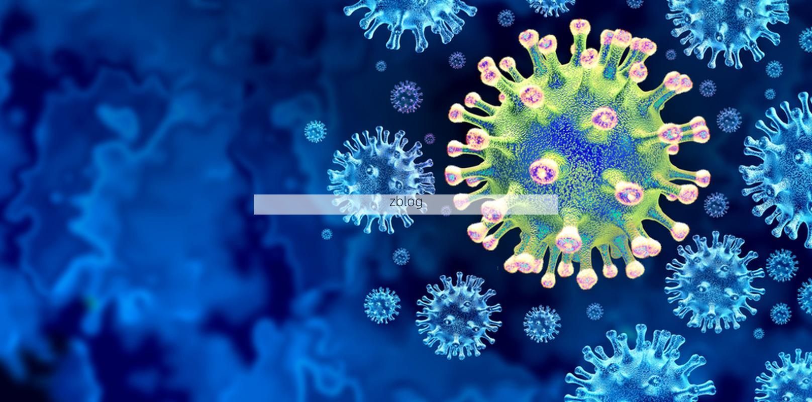 浔阳江畔的防疫破口：城中村结构如何成为病毒传播温床？