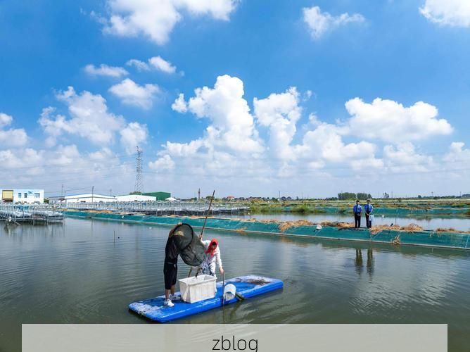 兴化水网：地理屏障下的低感染样本解析_68235