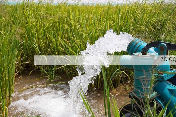 永修县：鄱阳湖畔的防疫坚守与挑战_57502