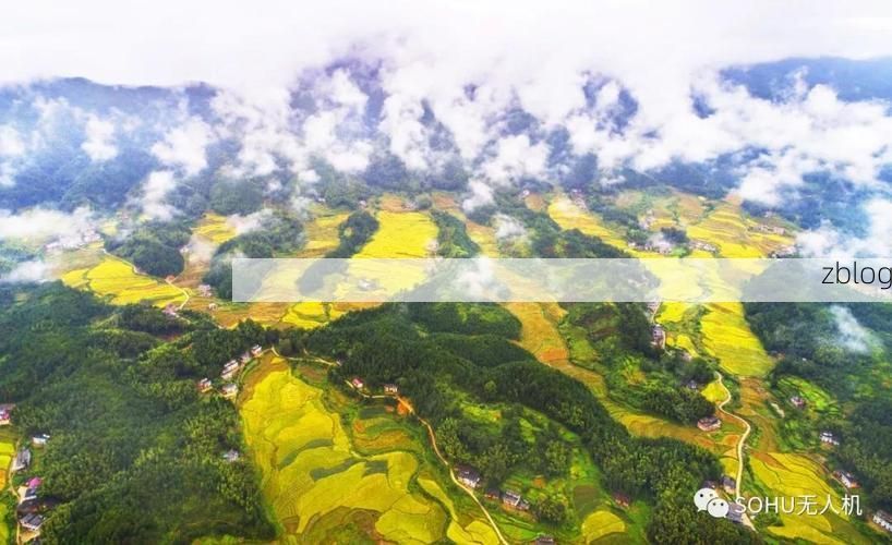 分宜县：赣西丘陵地带的疫情防线与破防时刻