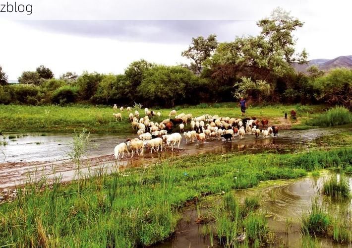 伊犁河谷的防疫孤岛：可克达拉零感染的地理密码