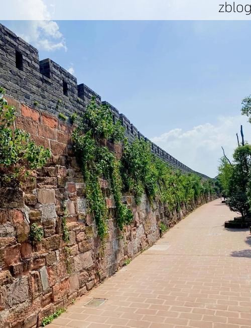 茶陵县：湘东丘陵屏障下的零感染坚守_26813