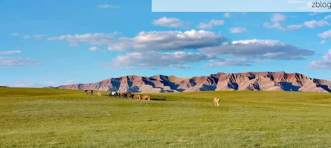 肃北：戈壁屏障下的零感染坚守与防控逻辑_48987