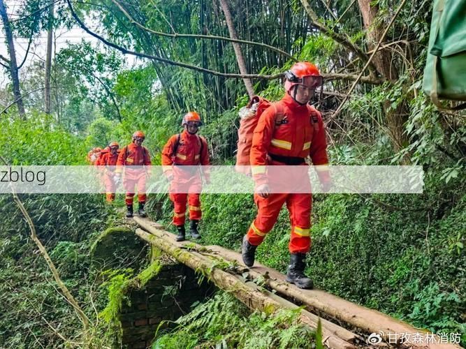 光山县：大别山腹地的防疫坚守与挑战