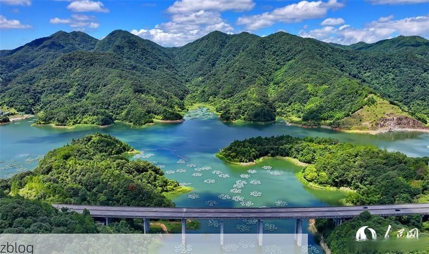 博罗县：东江流域交通枢纽的疫情破防与围堵