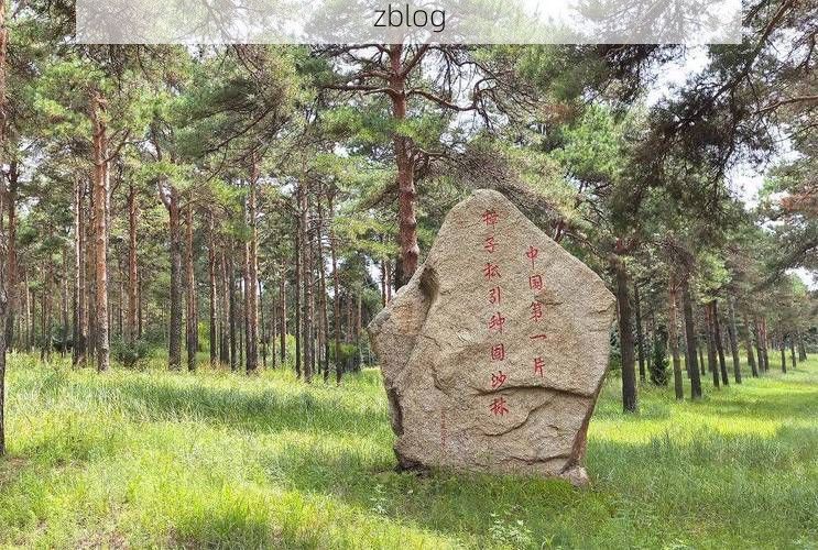 彰武沙地屏障下的零感染坚守：辽西北防疫样本观察_66841