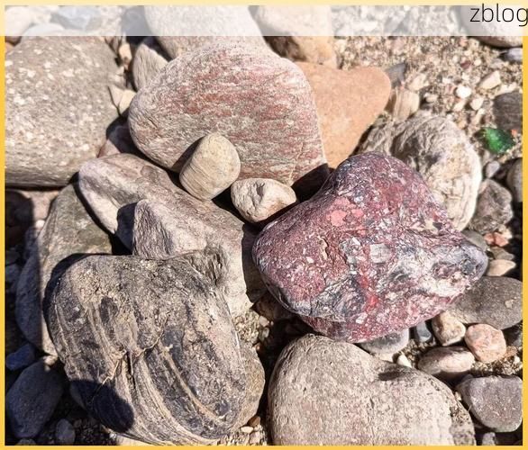 鹤壁市辖区：太行屏障下的低感染率成因探析