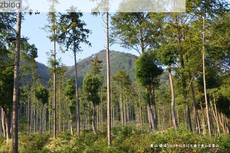 明山区：山城屏障下的疫情破防与流调溯源_56607