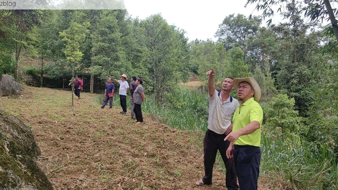 三门湾畔的零感染坚守：山海屏障下的防疫样本_16198