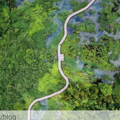 端州疫情观察：西江枢纽的防控压力与地理屏障