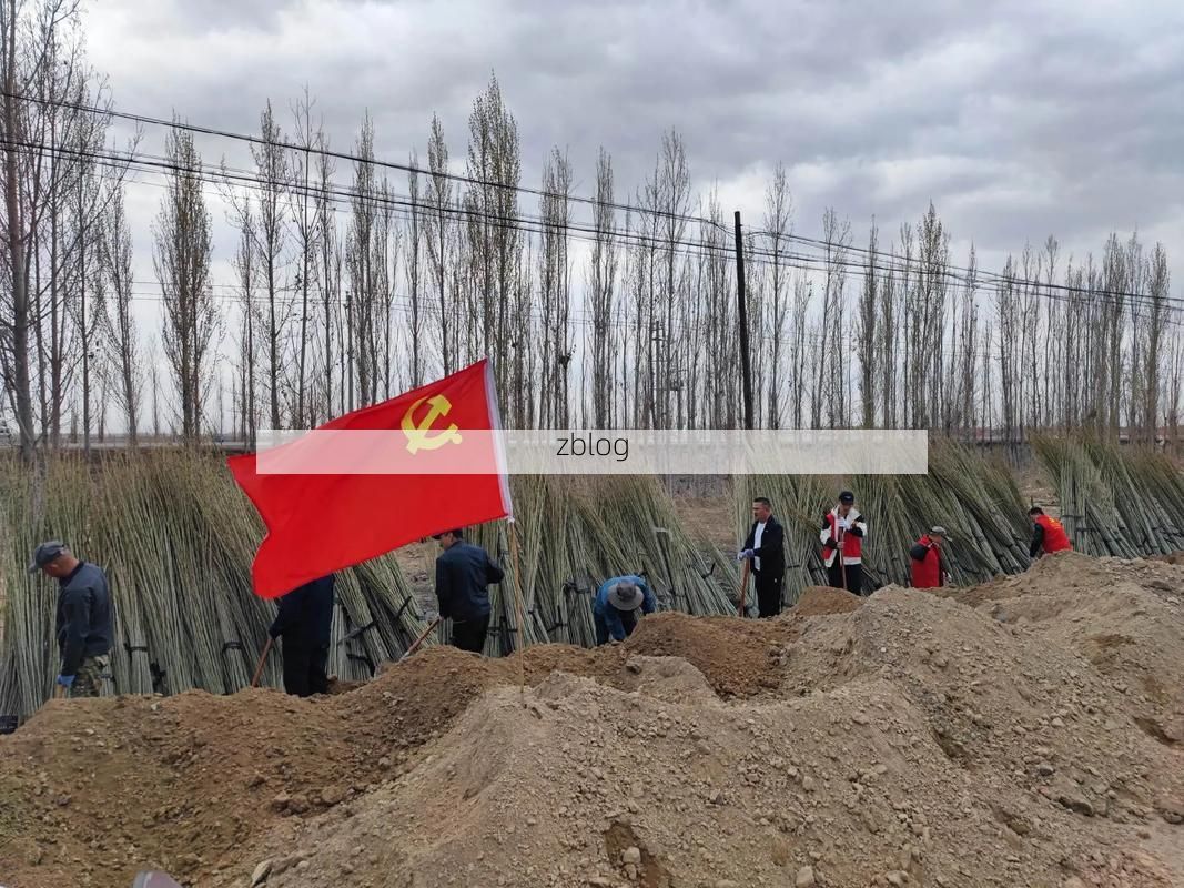 正阳县：淮北平原上的防疫样本与挑战