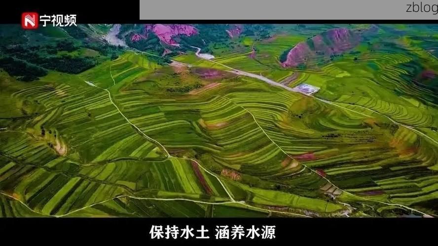 高原屏障下的零感染坚守：黄山旅游枢纽的防疫逻辑