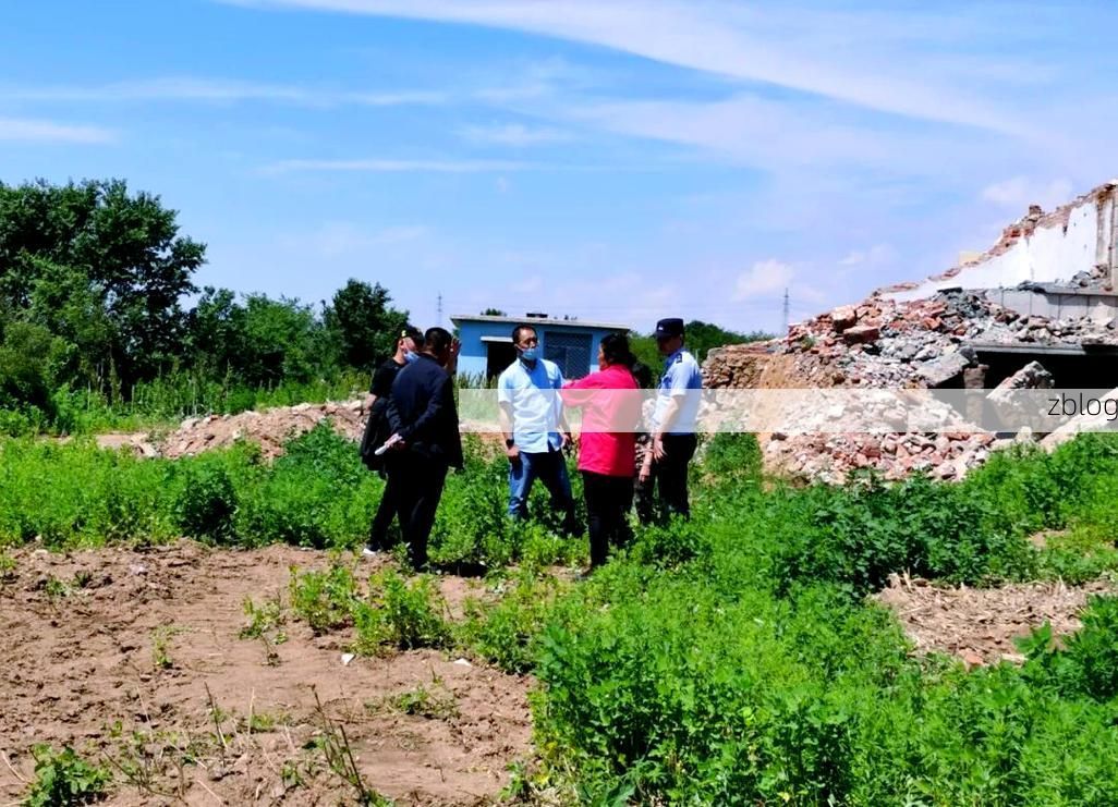 杭锦后旗：河套平原腹地的零感染坚守_68279