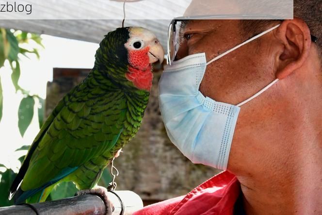 新丰县：粤北山区的零感染记录与屏障解析