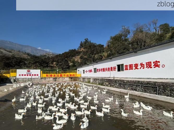 【靖州：湘黔桂边城，地理屏障下的零感染坚守_62063】