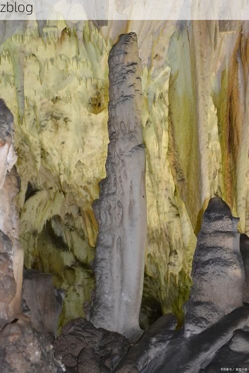 【黔西：喀斯特地貌下的疫情防线与破防时刻_54598】