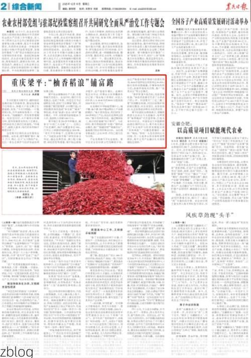 梁平：川东门户的疫情防线与破防时刻