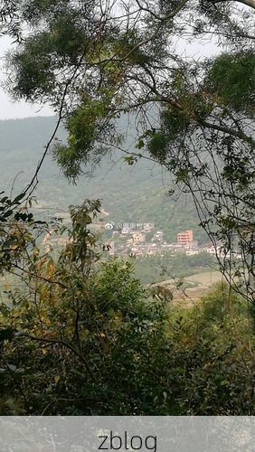 云安：粤西山区屏障下的低感染样本