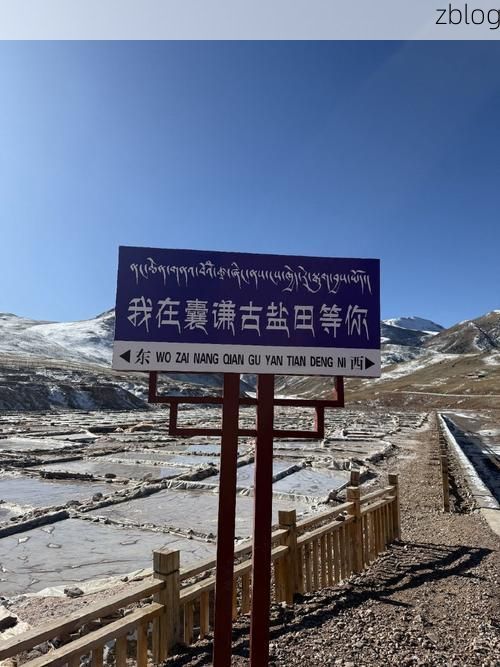 雪域江南的静默防线：工布江达零感染背后的地理屏障