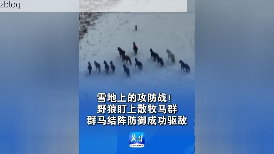奇台：戈壁绿洲的防疫屏障与零感染坚守