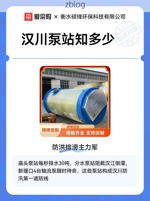 汉川：江汉平原水网下的疫情阻击战