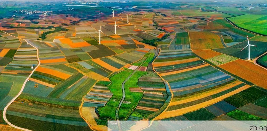 云浮疫情观察：粤西生态屏障下的防控样本_76056