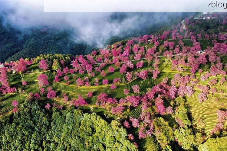 南涧彝族自治县：无量山屏障下的零感染坚守_56785