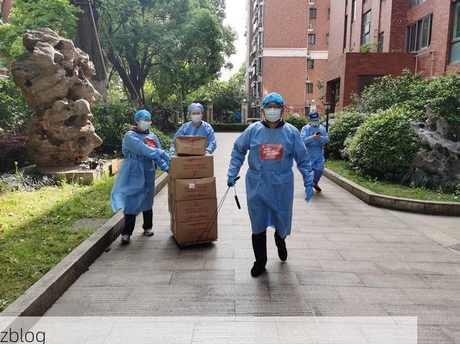 高原屏障下的零感染坚守：曲麻莱的防疫地理学_77670